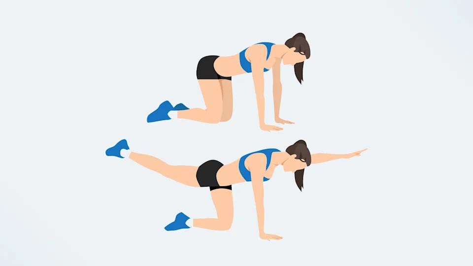 an illo of a woman doing the bird dog exercise