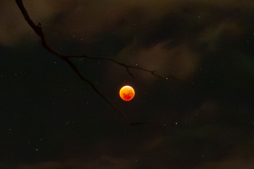 Image of bright orange glowing moon spotted through gap in between branches