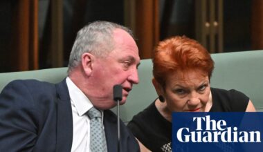 Pauline Hanson wants to work with Liberals and Nationals to defeat Labor – but rules out official coalition | One Nation