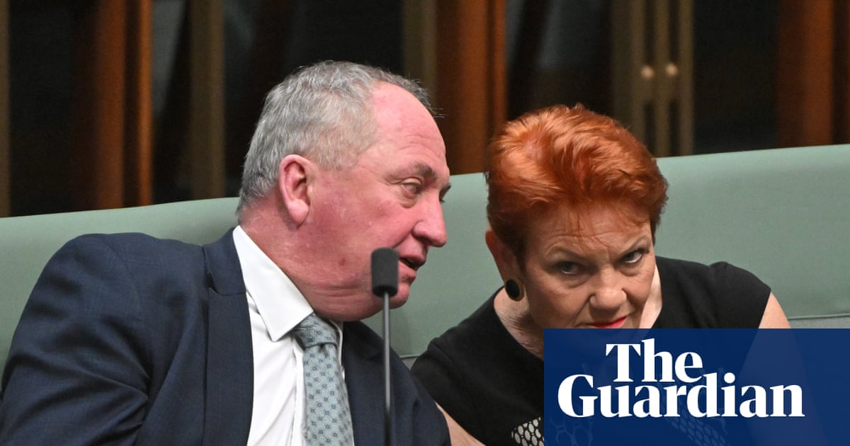 Pauline Hanson wants to work with Liberals and Nationals to defeat Labor – but rules out official coalition | One Nation