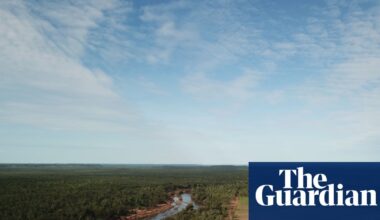 NT environmentalists ‘gobsmacked’ at federal green light to bulldoze nearly 3,000 hectares of tropical savanna | Northern Territory