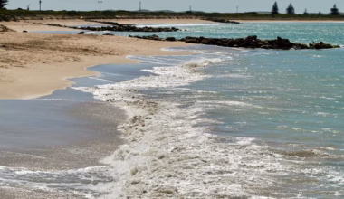 Subscribe to The Advertiser for exclusive stories