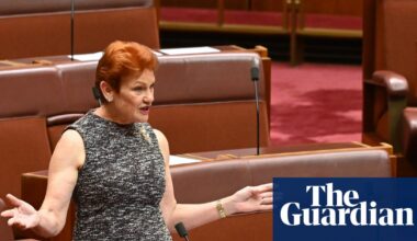 SA premier warns One Nation poses threat to federal Labor as Marles says party only ‘about stunts and the vibe’ | One Nation