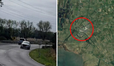 Drivers warned to use 'extreme caution' after reports 1,000 animals disorientated by sudden event