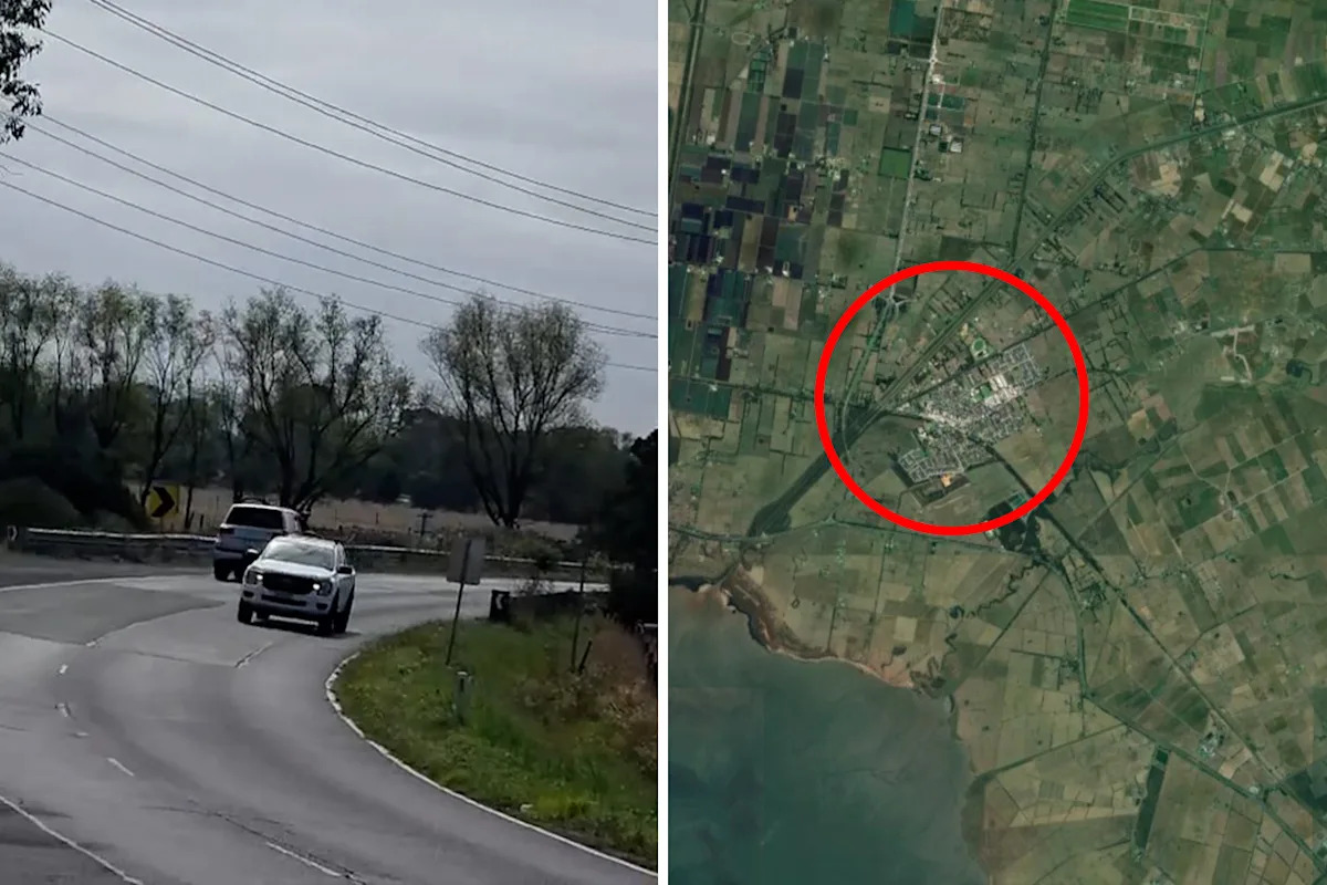 Drivers warned to use 'extreme caution' after reports 1,000 animals disorientated by sudden event