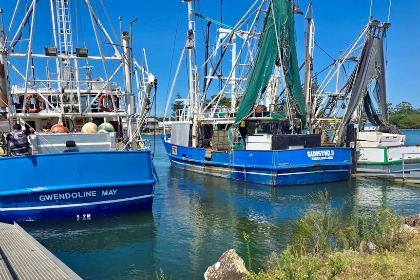 Prawn trawlers on the water with blue sky in the background. 