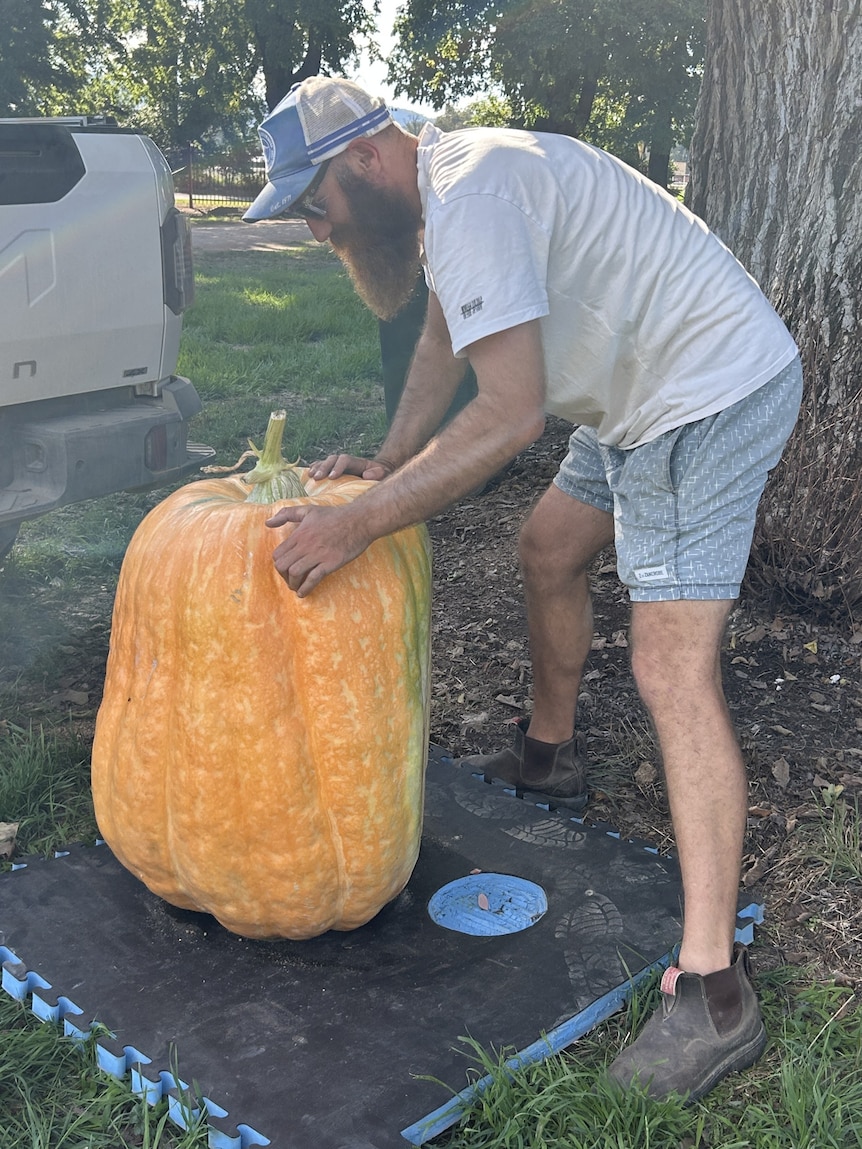 Man manourvering a pumpkin wearing a baseball cap 