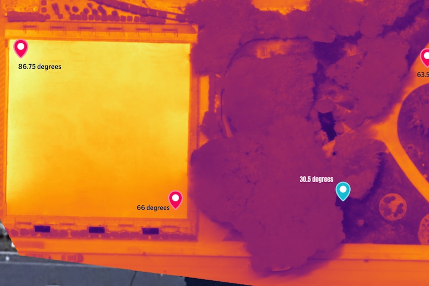 A colour-coded image of a bowls green and a park with large trees showing tempreatures ranging from 86.75 to 30.5 degrees.