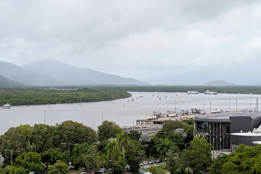 Grey skies above a marina surrounded by vegetation.