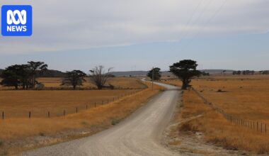 Decision on sale of Tasmania's largest farm Rushy Lagoon expected soon