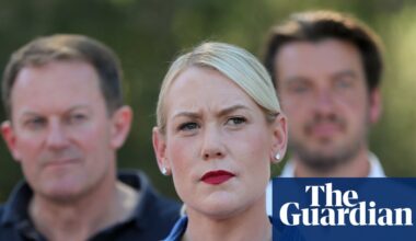 Liberal party preferences handed seats to One Nation in South Australian election, analysts say | South Australian election 2026