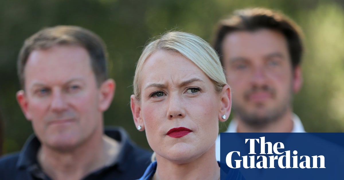 Liberal party preferences handed seats to One Nation in South Australian election, analysts say | South Australian election 2026