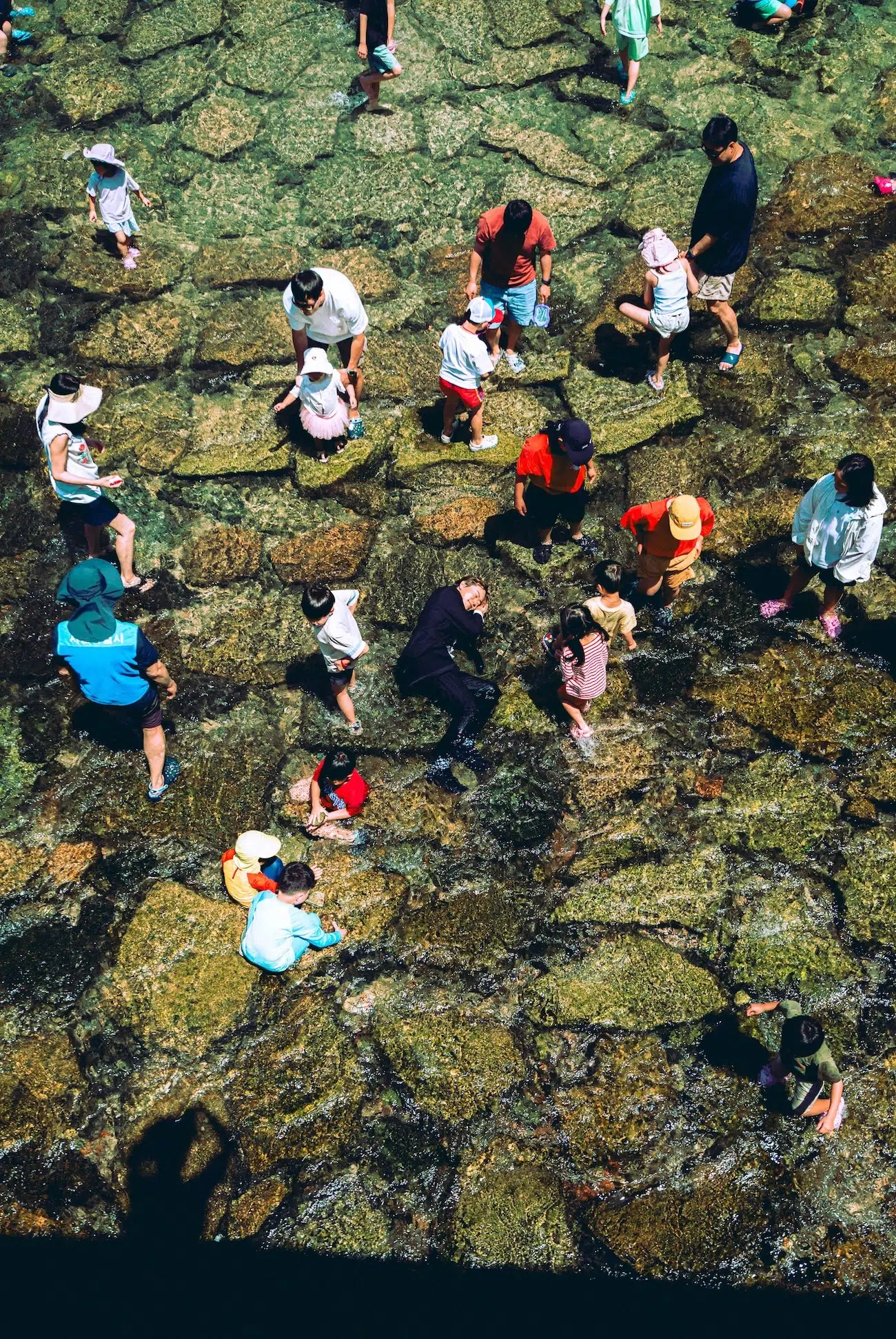 Sony World Photo Awards Regional and National Winners