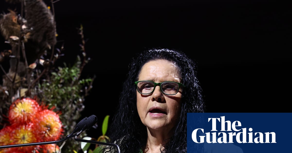 New First Nations-led organisation to target hidden ‘scourge’ of family violence | Indigenous Australians