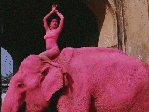 This elephant was colored pink from one side.