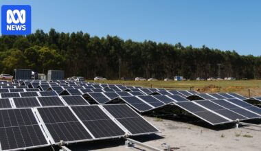 WA's biggest dairy farm moves to off-grid solar to tackle steep power costs