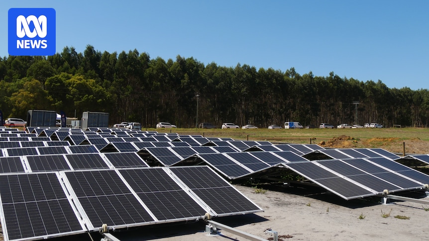 WA's biggest dairy farm moves to off-grid solar to tackle steep power costs