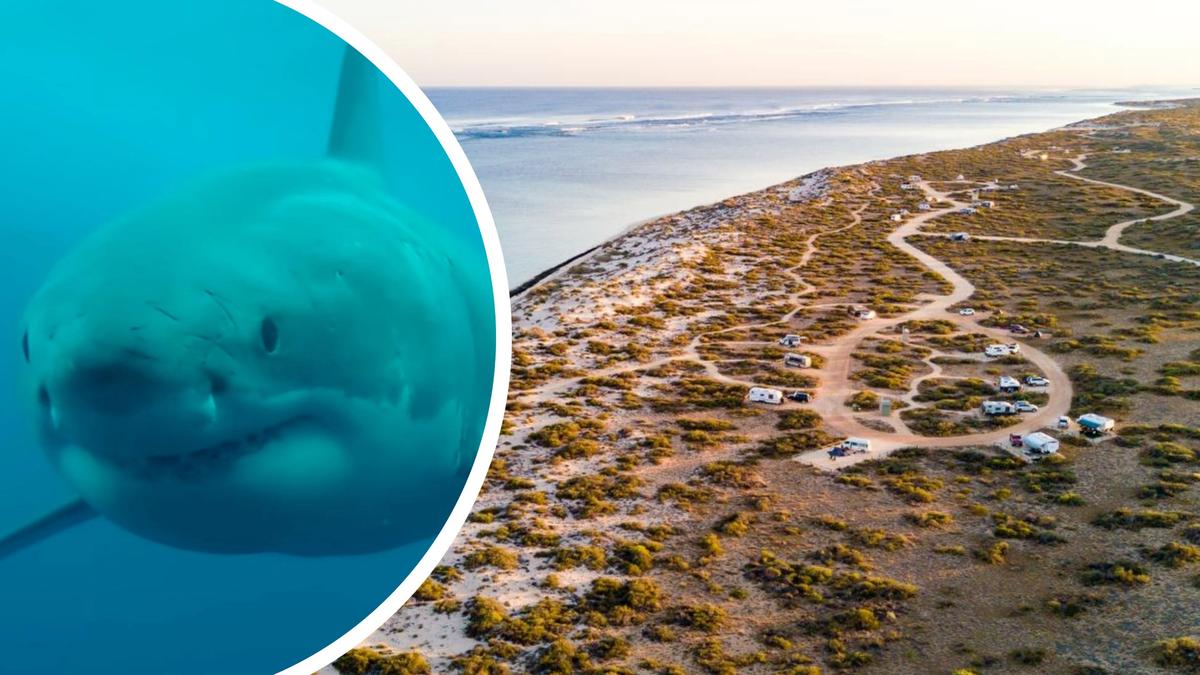 Exmouth shark attack: Woman injured after being bitten by shark near Kurrajong Campsite