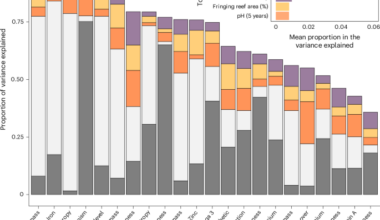 Marine protected areas marginally offset anthropogenic declines in tropical reef fish contributions to nature and people