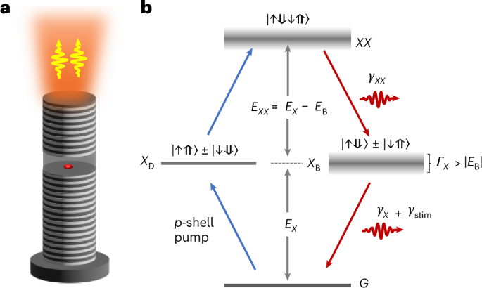 Purcell-enhanced two-photon emission from a quantum dot via dark-state biexciton loading