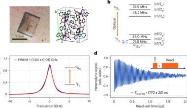 Optically detected nuclear magnetic resonance of coherent spins in a molecular complex