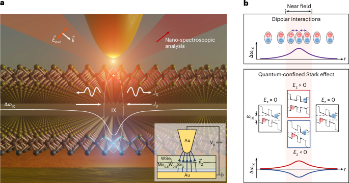 Interlayer exciton flux amplification driven by strong exciton confinement