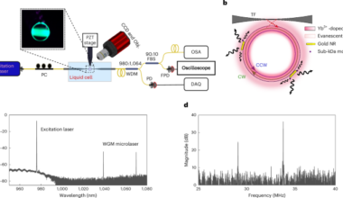 Single-atomic-ion detection with plasmon-enhanced whispering-gallery-mode microlasers