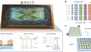 One- and two-dimensional cluster states for topological phase simulation and measurement-based quantum computation