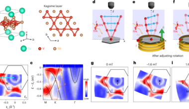 Magnetic field-induced momentum-dependent symmetry breaking in a kagome superconductor