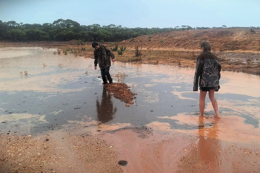 Two boys jump in big puddle in a paddock.
