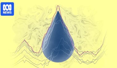 The oil shock has completely reshaped Australia's petrol price cycle