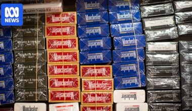 Australia to toughen tobacco crime laws as cigarette and vape black markets surge