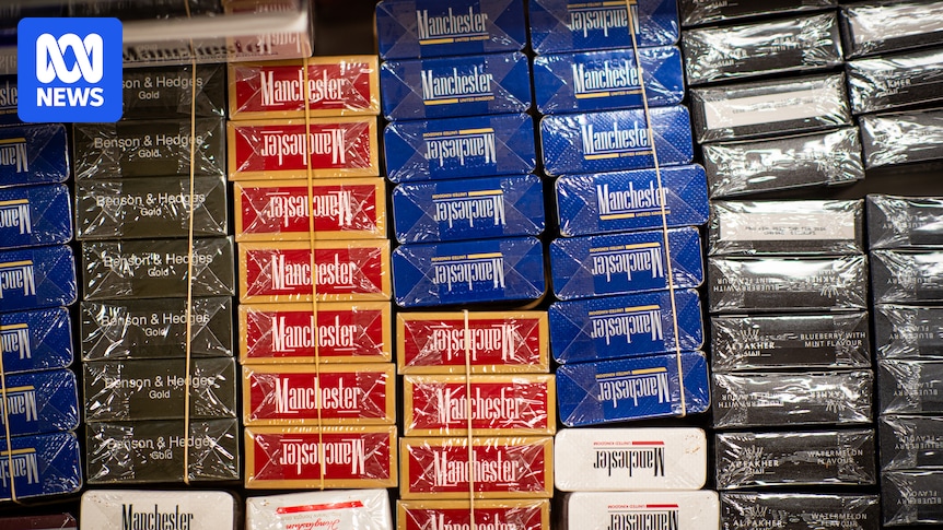 Australia to toughen tobacco crime laws as cigarette and vape black markets surge