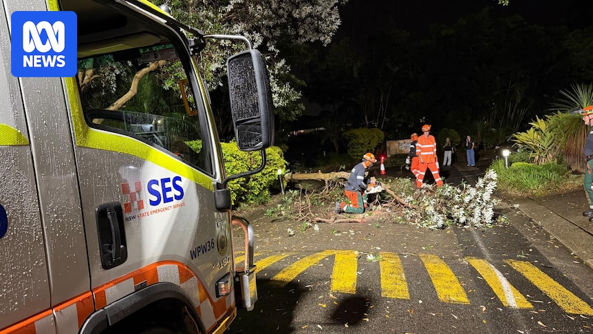 Severe storm causes thousands of power outages and hundreds calls for help in Sydney