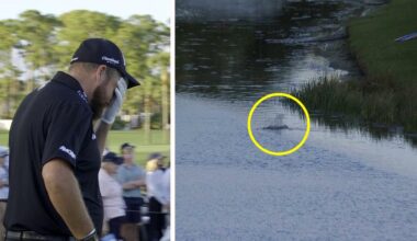 Cognizant Classic final round leaderboard, Shane Lowry meltdown, water balls, double bogeys, latest news, video, highlights, scores, result