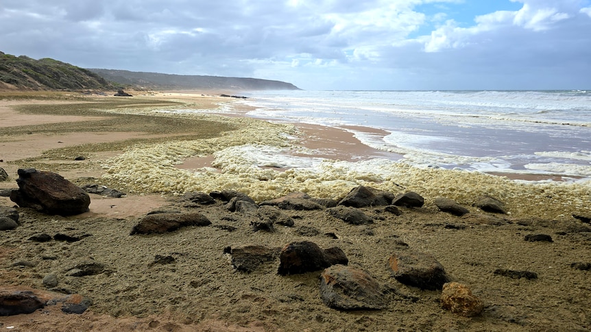 A beach stretches out into the distance. Yellow foam has washed up from the sea.