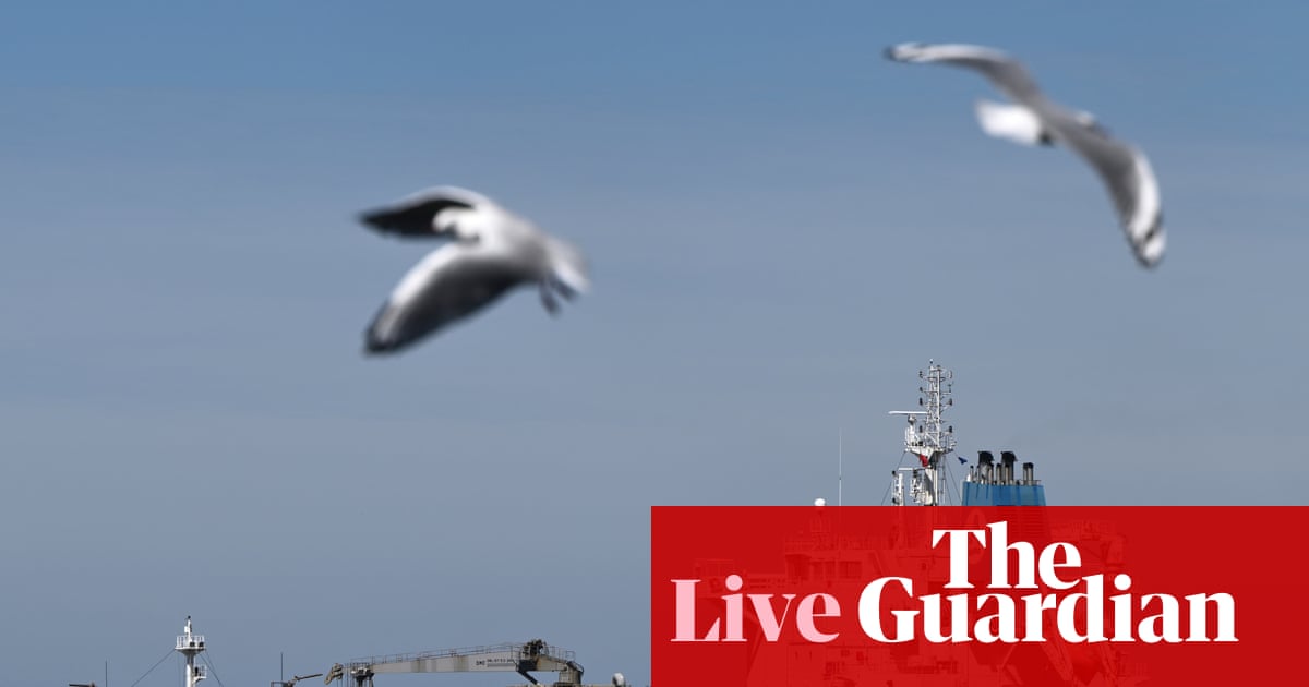 News live: Bowen says Australian fuel reserve has increased despite cancelled import ships; missing Japanese tourist, 81, found alive in Tasmania | Australia news