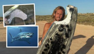 ‘I thought it was all done’: Exmouth foil-boarder’s survival tale after terrifying run-in with 3m great white