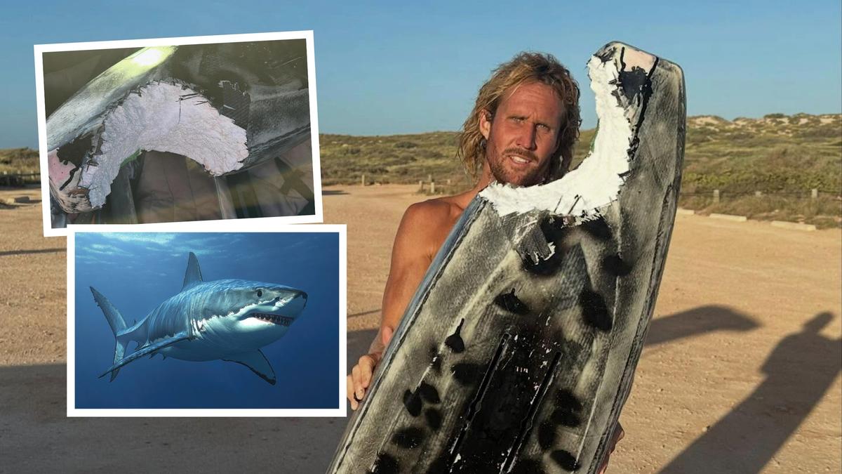 ‘I thought it was all done’: Exmouth foil-boarder’s survival tale after terrifying run-in with 3m great white