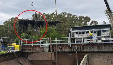 Council's plea to Aussies as crews remove foul, three-tonne haul from sewers every week