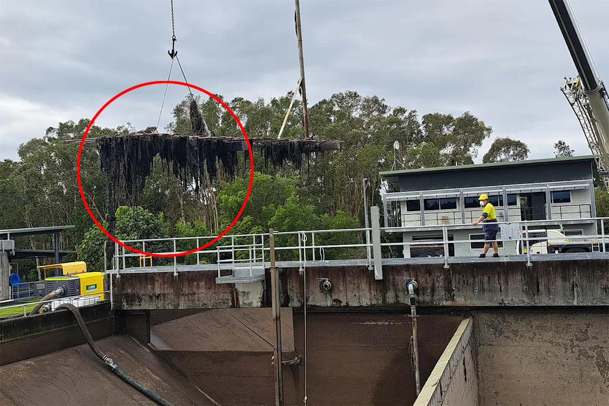 Council's plea to Aussies as crews remove foul, three-tonne haul from sewers every week
