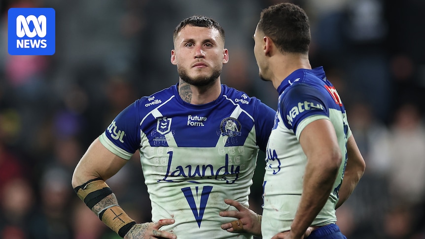 Bulldogs challenge Bronson Xerri to make case for NRL return, Dophins ready for Sharks fans' abuse