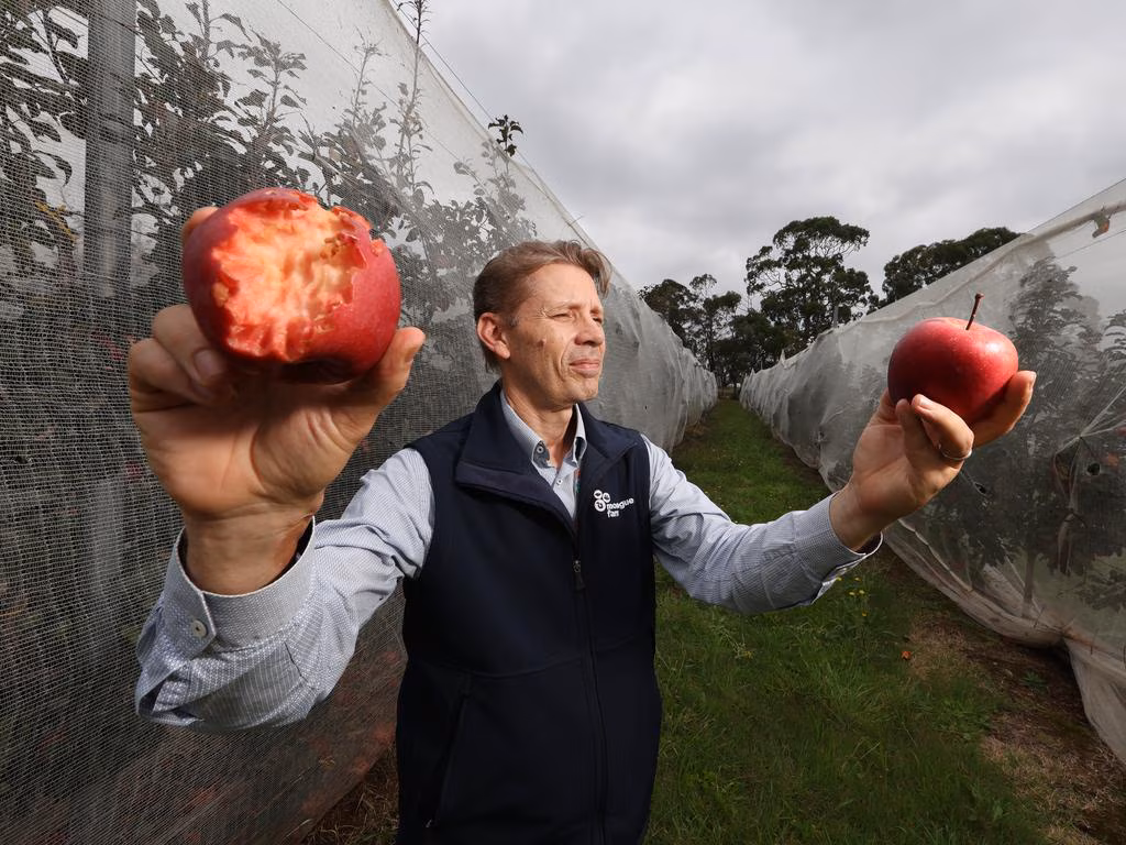 Subscribe to The Australian | Newspaper home delivery, website, iPad, iPhone & Android apps