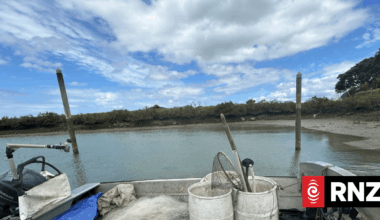 The Detail: Net fishing is in, then out again as National Party does a backflip