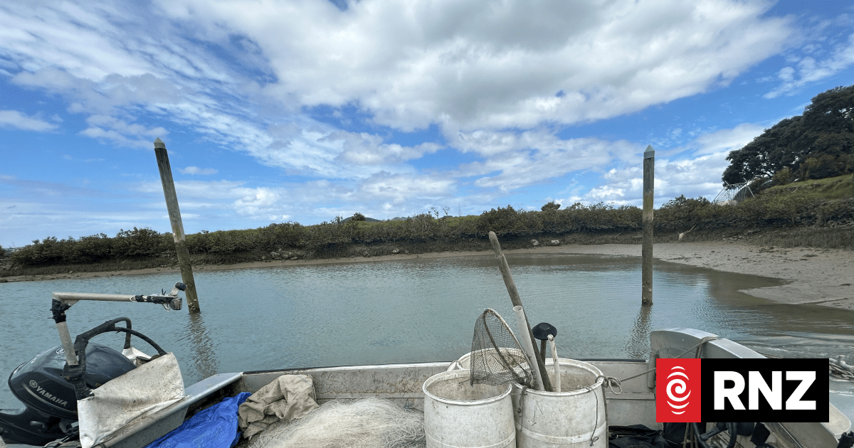 The Detail: Net fishing is in, then out again as National Party does a backflip