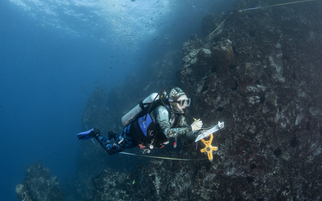 A diver with a yellow tape measure and pencil and clipboard in hand surveys a rock wall underwater.