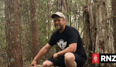 Strange chain of events leads to important ecological discovery of native bats