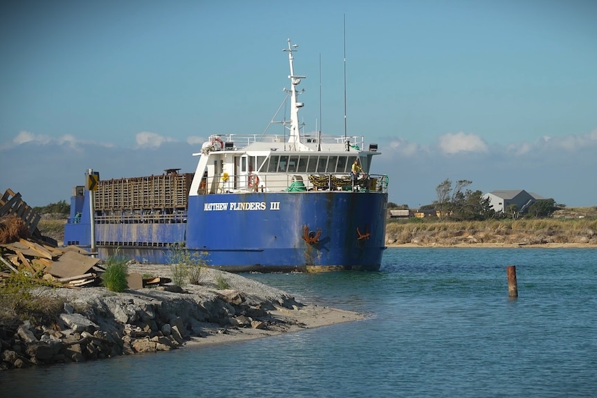 Cattle ship entering waterway.