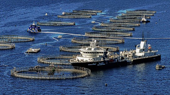 Salmon farming in the waters near Huon and Bruny islands in southern Tasmania.