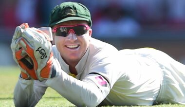 Brad Haddin unveiled as NSW Blues coach, replaces Greg Shipperd, announcement, Sheffield Shield, video